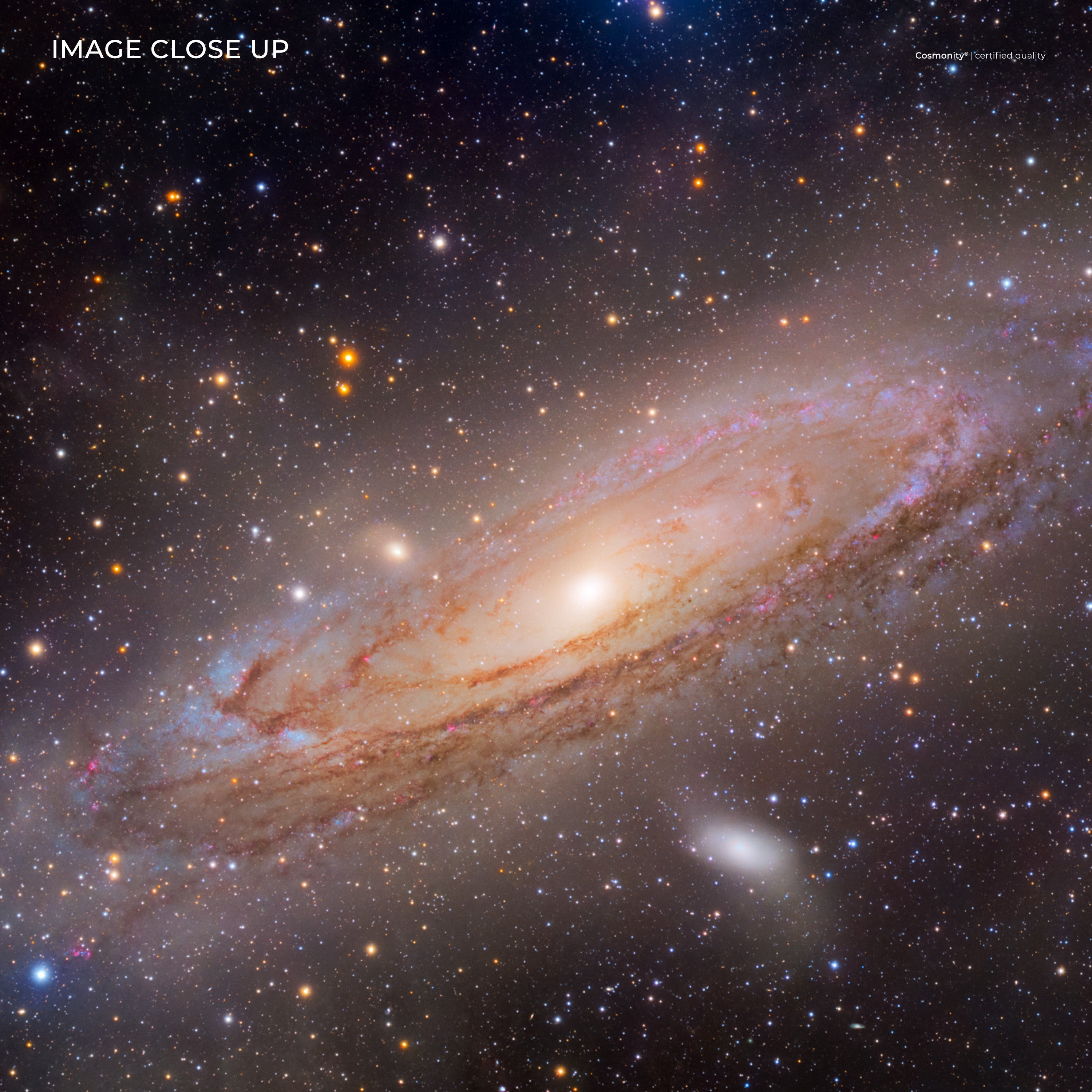 Andromeda Galaxy in natural colours